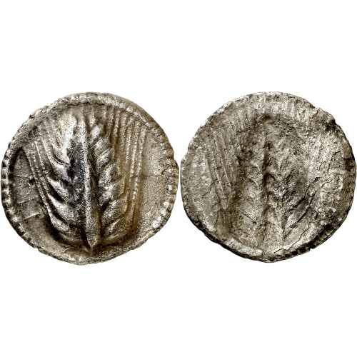 Metaponto. Tridracma.